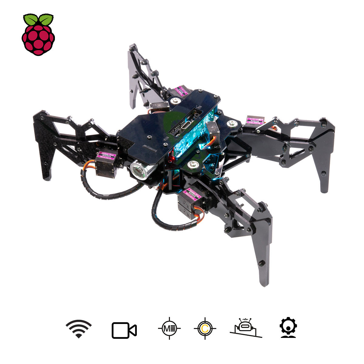 Adeept DarkPaw Bionic Quadruped Spider Robot Kit for Raspberry Pi 4/3 Model B+/B/2B, STEM Crawling Robot, OpenCV Tracking, Self-stabilizing